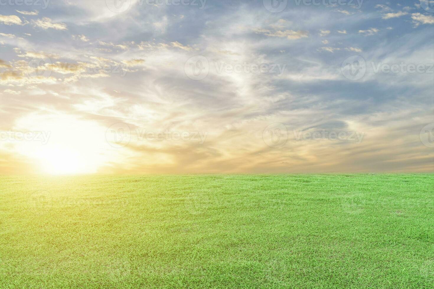 Green grass meadow and the sunset sky background. Natural field landscape photo