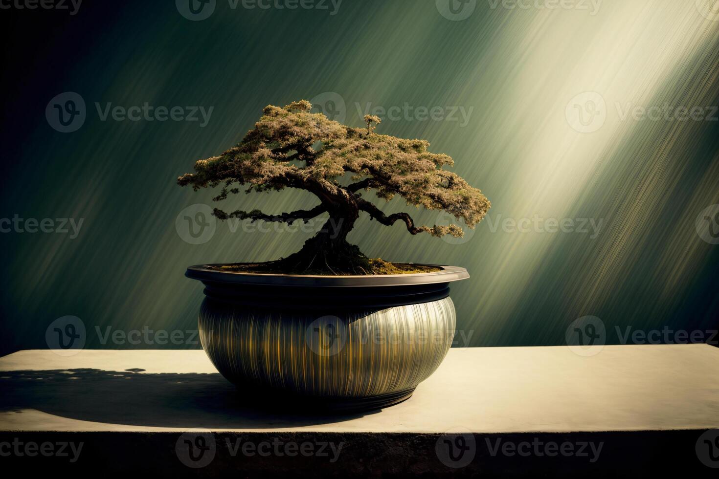 A Bonsai Tree In A Pot On A Table. photo