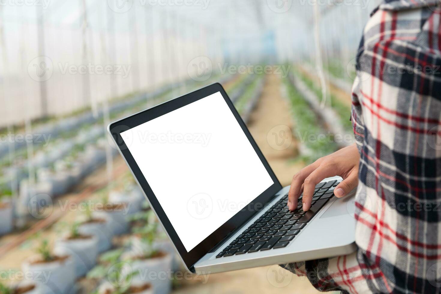 Agriculture technology concept man Agronomist Using a Laptop in an Agriculture Field read a report, Plant analysis and research photo