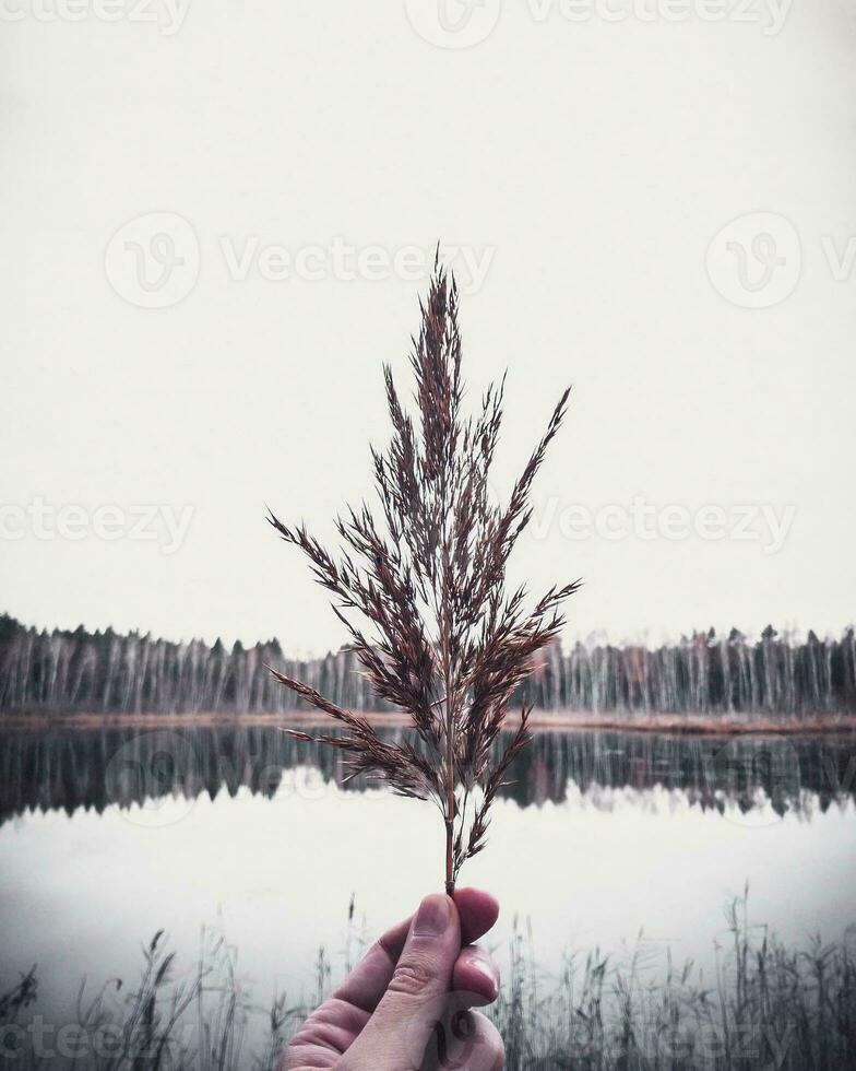 A man holding a plant photo