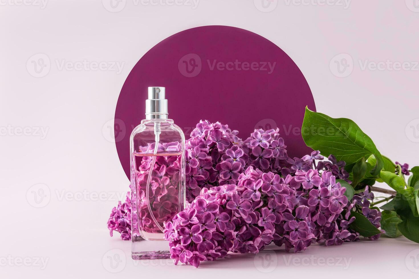 A elegant bottle of perfume or eau de toilette against the background of a vertical lilac round podium and a delicate lilac branch. front view. photo