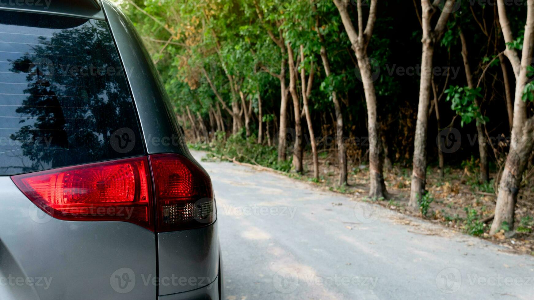 Rear side of gray car close up on car tail light. Drive on the dirt asphlat road. Beside with rubber trees forest. photo