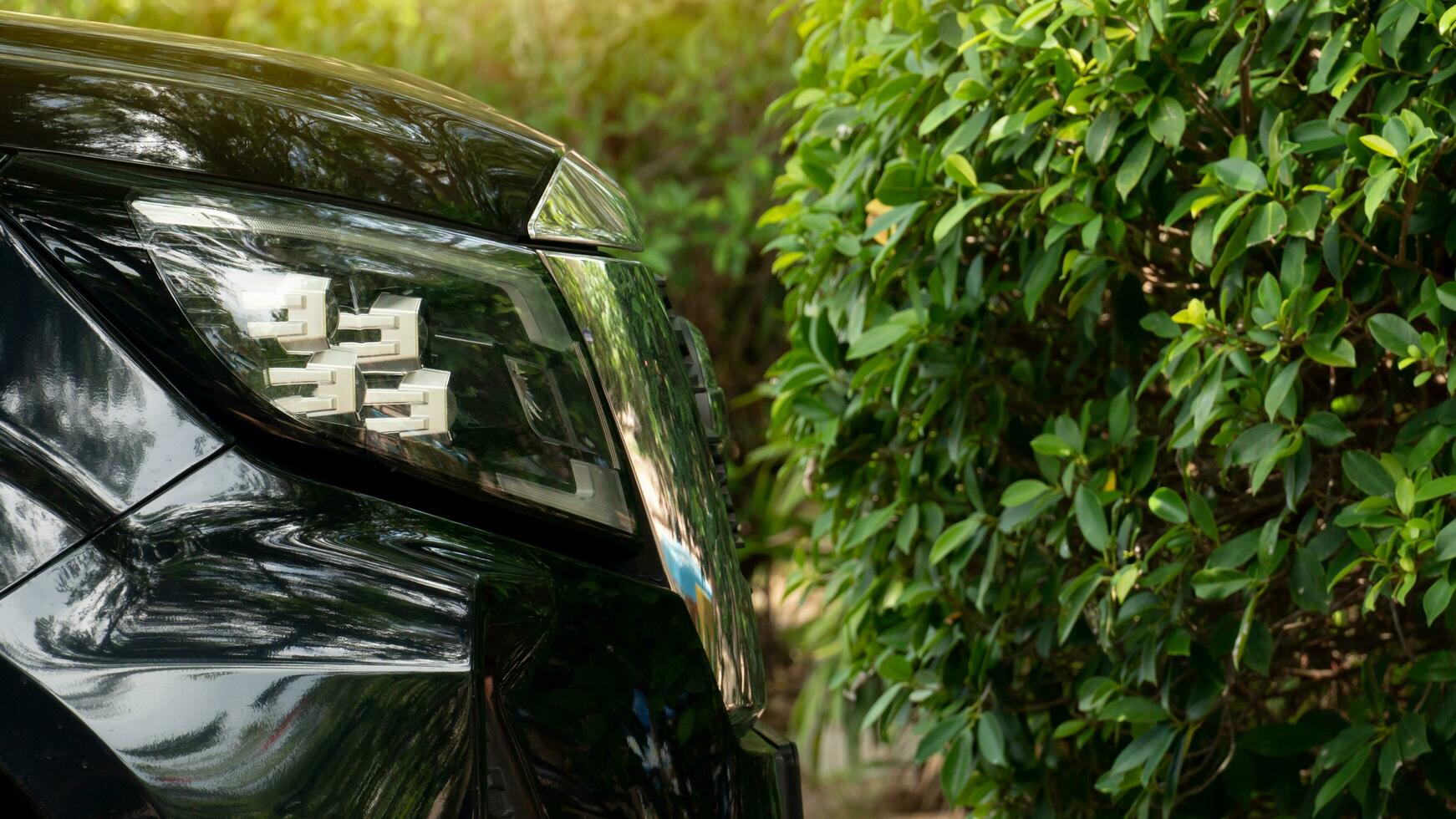 Side of front black car close up on car headlights. Parking in the parking lot. photo