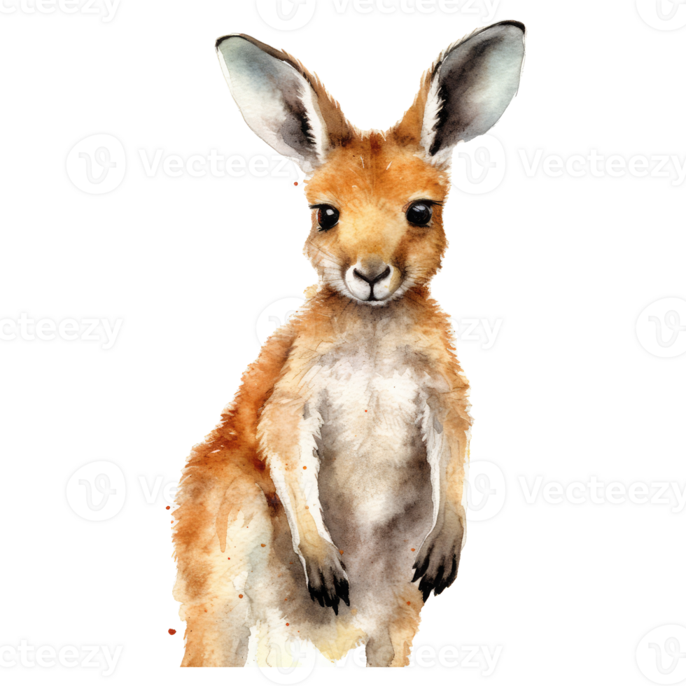 watercolour kangaroo . png
