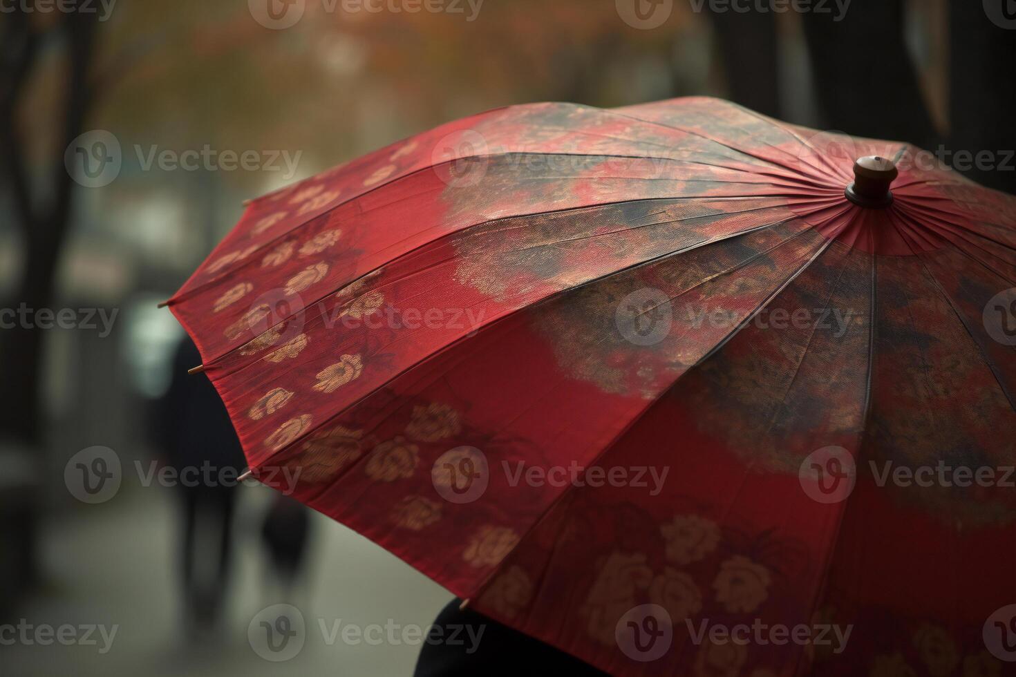 Elegance in the rain, A person with a patterned umbrella. photo