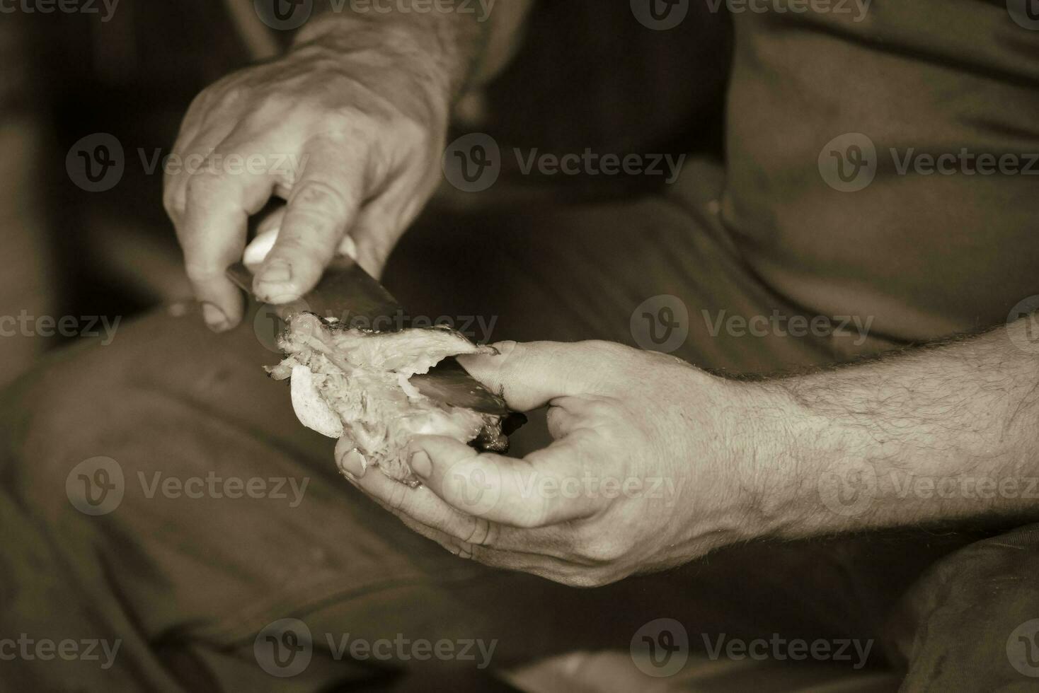 Gaucho cutting a roasted rib, Patagonia Argentina photo