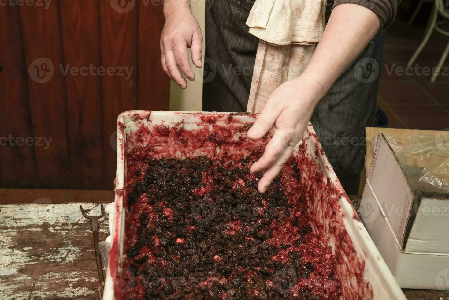 Handmade blood sausage preparation, Argentine tradition, Pampas, Patagonia photo