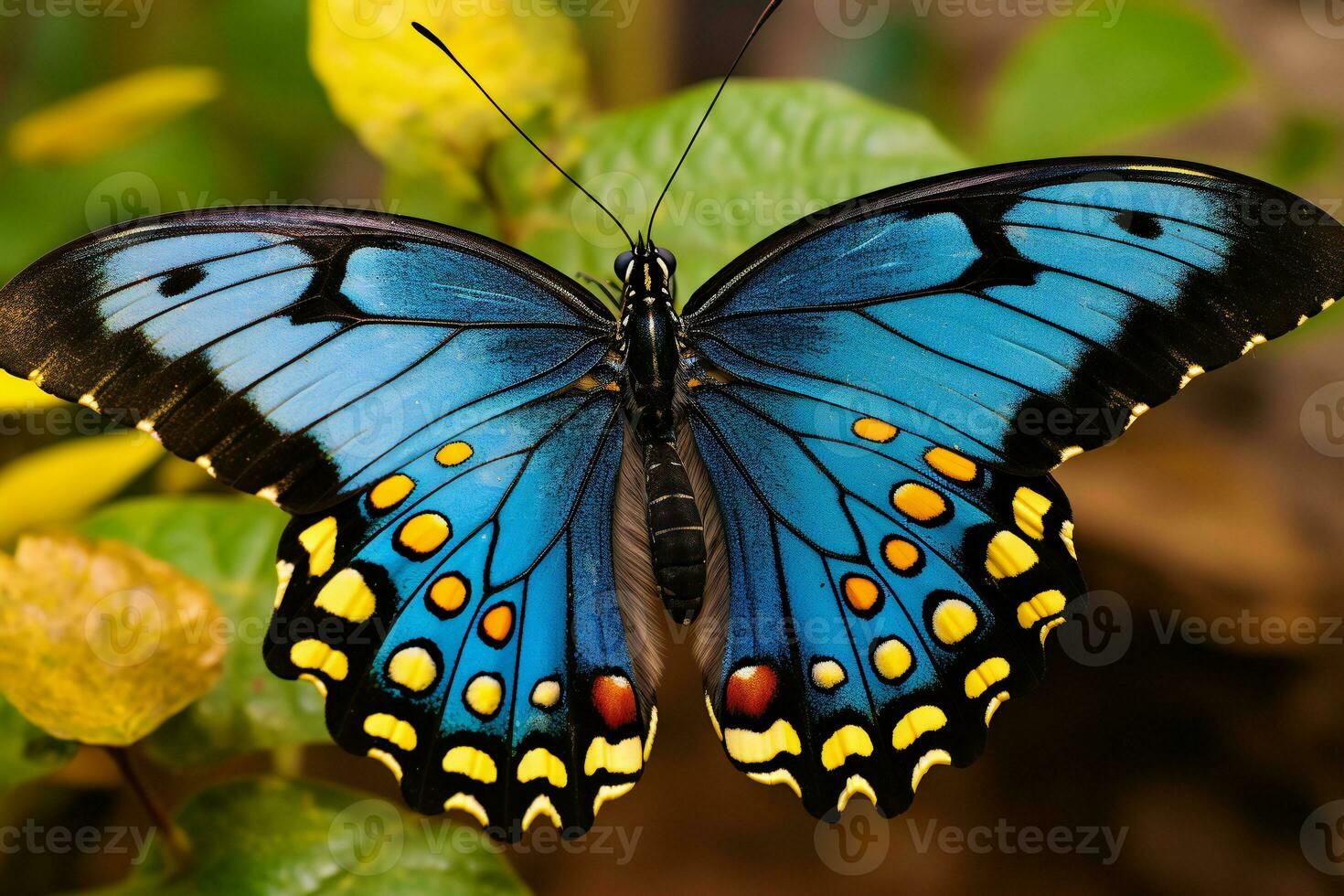 Colorful butterfly in the nature. AI Generative photo