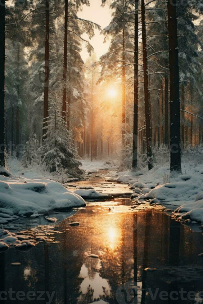 Natural Winter Forest Wallpaper photo
