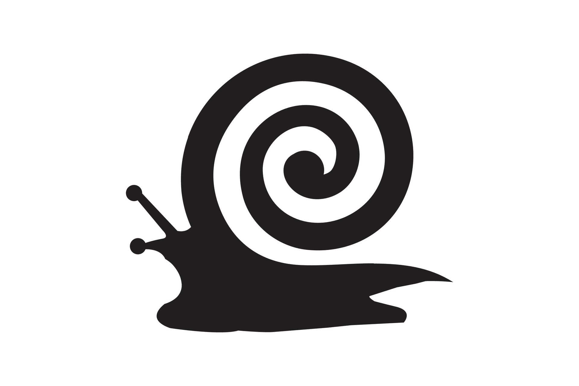 Handdrawn Snail Shell Vector isolated on white background. 26434159