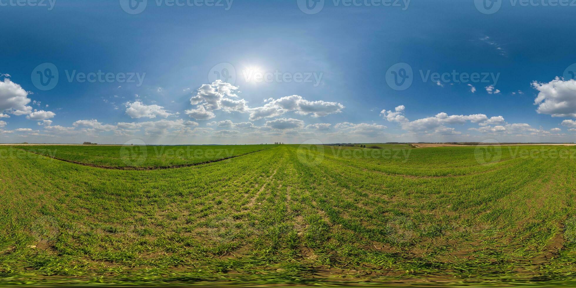 spherical 360 hdri panorama among green grass farming field with clouds on blue sky with sun in equirectangular seamless projection, use as sky replacement, game development as skybox or VR content photo