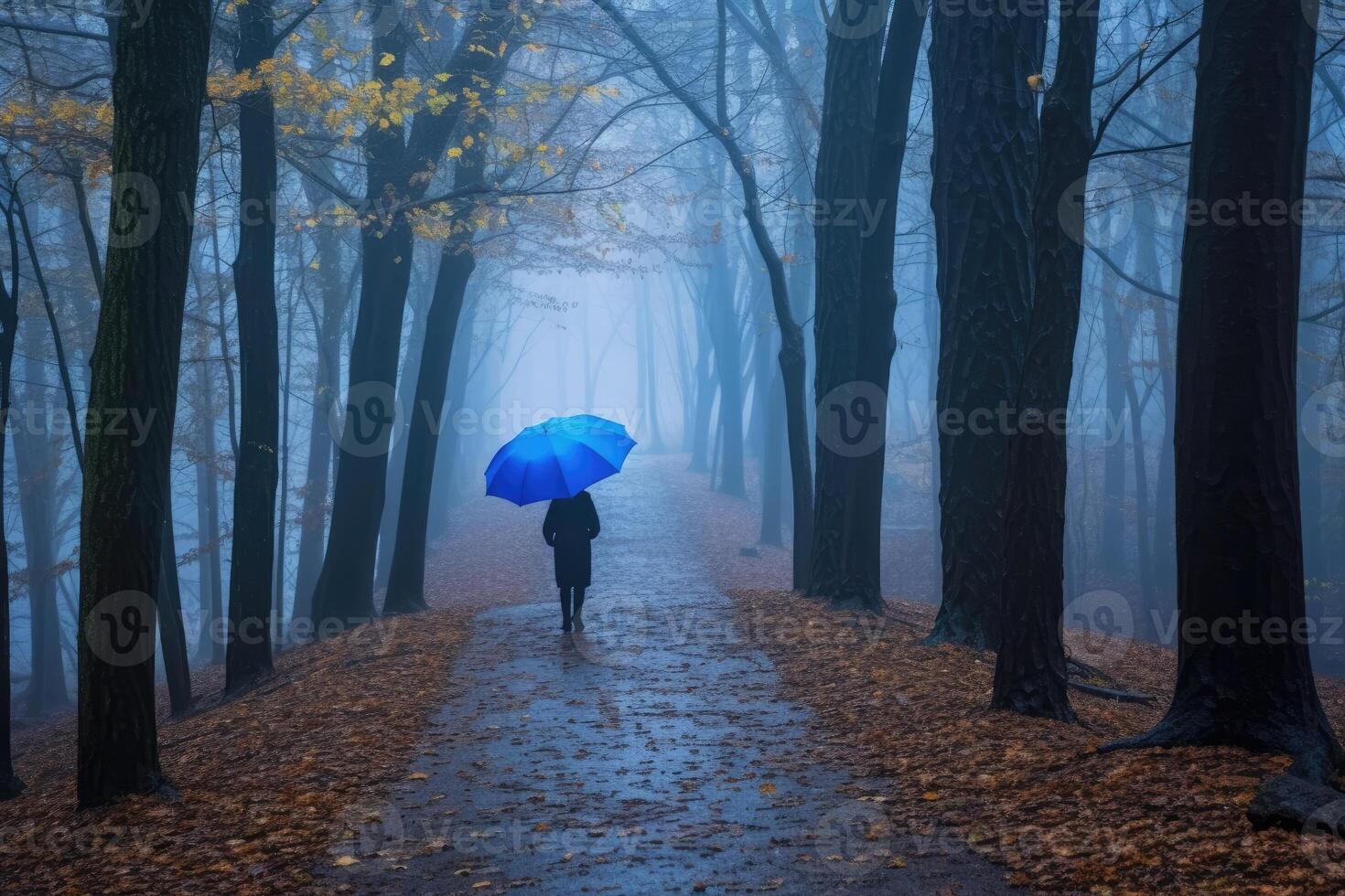 Woman under blue umbrella walks in the park on a foggy day. photo