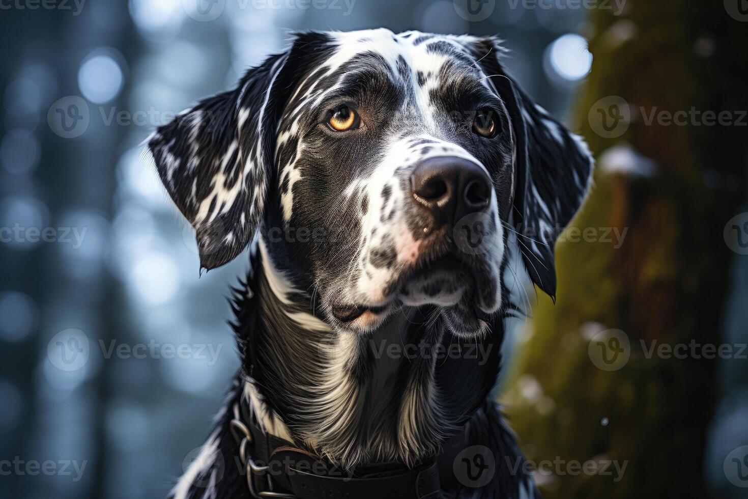 Beautiful Dalmatian dog in a snowy forest. Generative AI photo