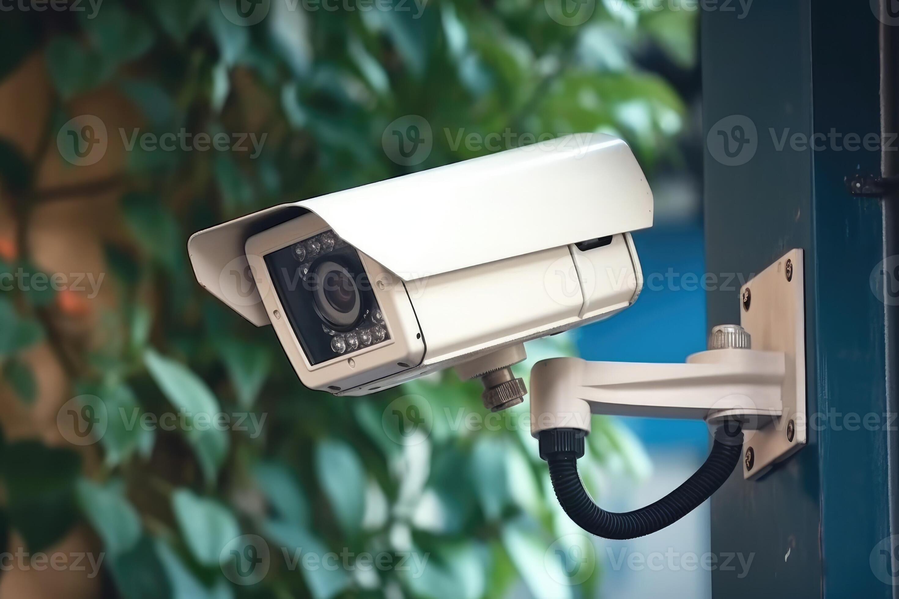 Interior video cameras clearance