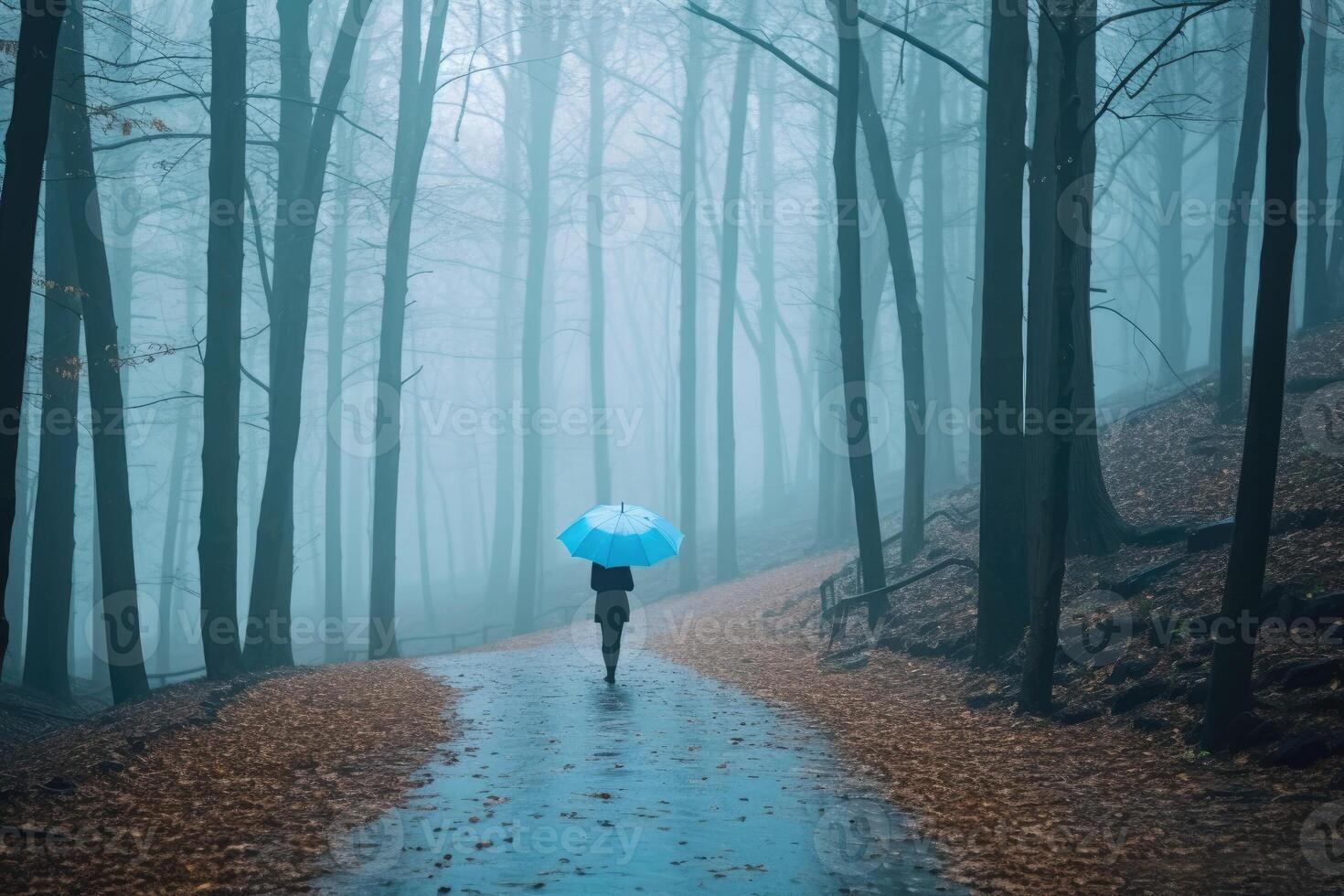 Woman under blue umbrella walks in the park on a foggy day. photo
