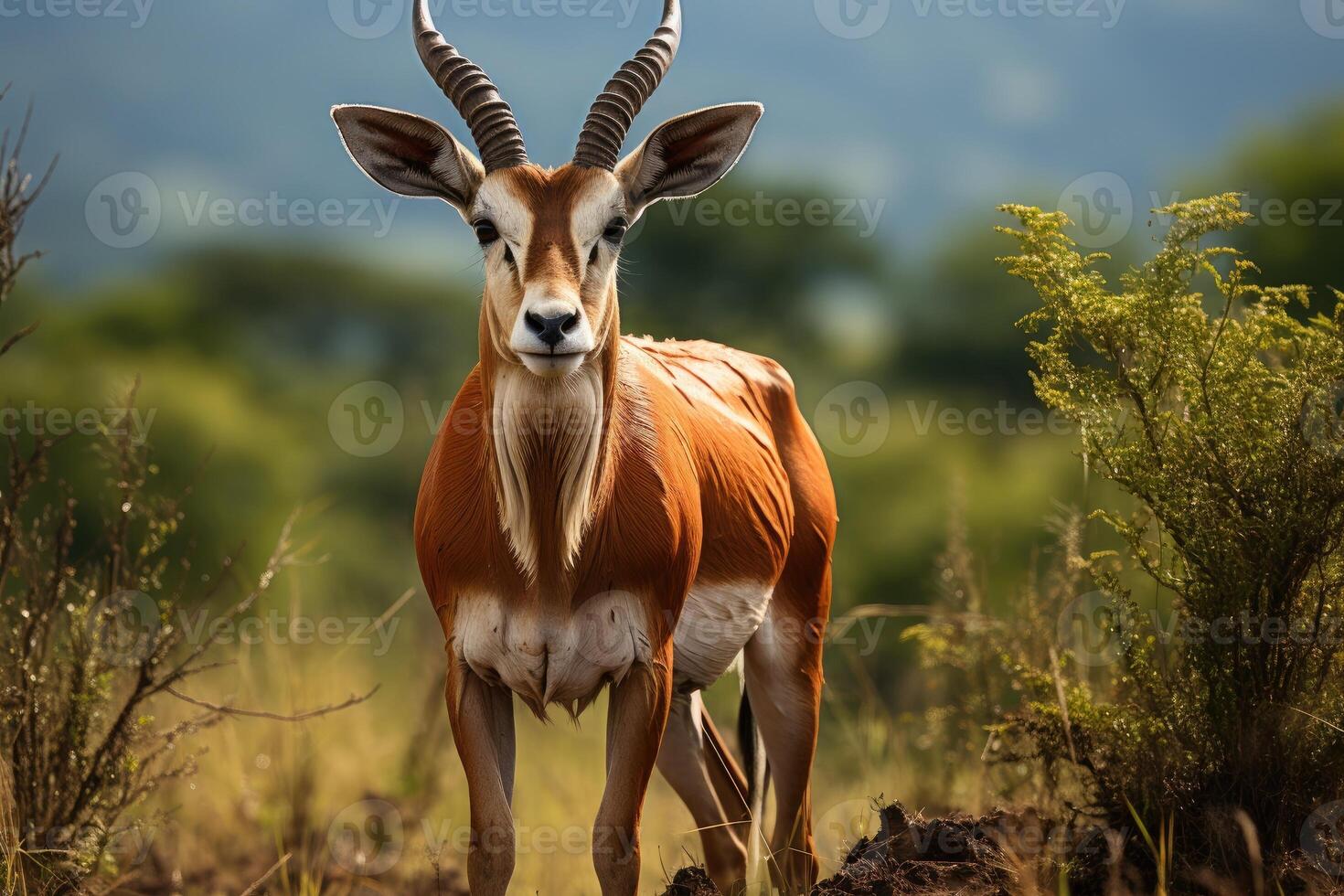 grande oriental bongo antílope. generativo ai foto