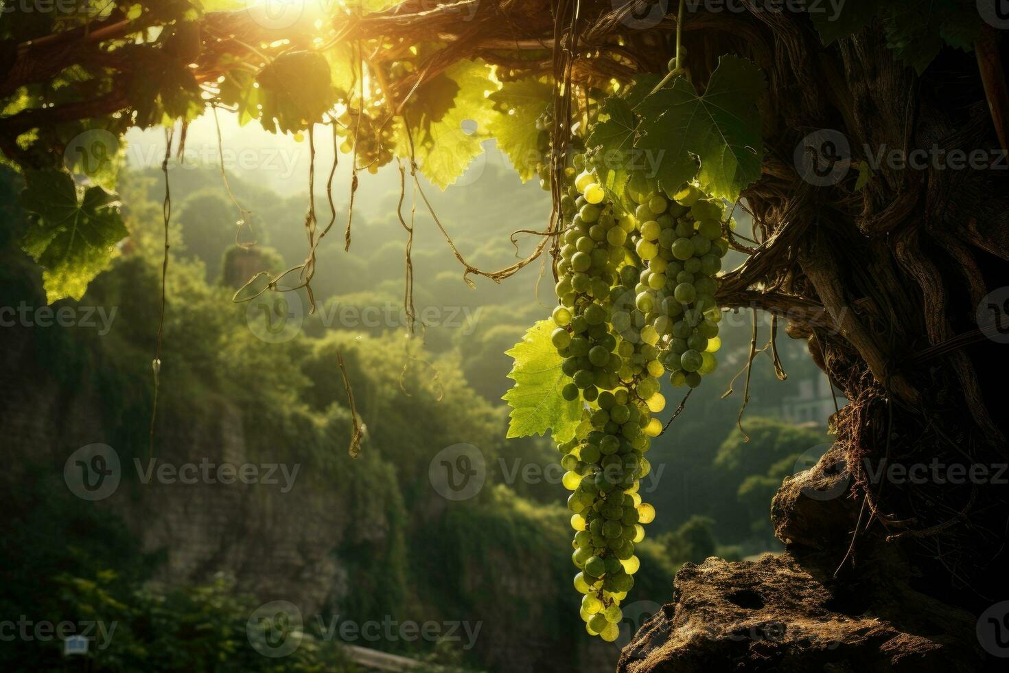 Grapes on the vine of grape trees. Generative AI photo