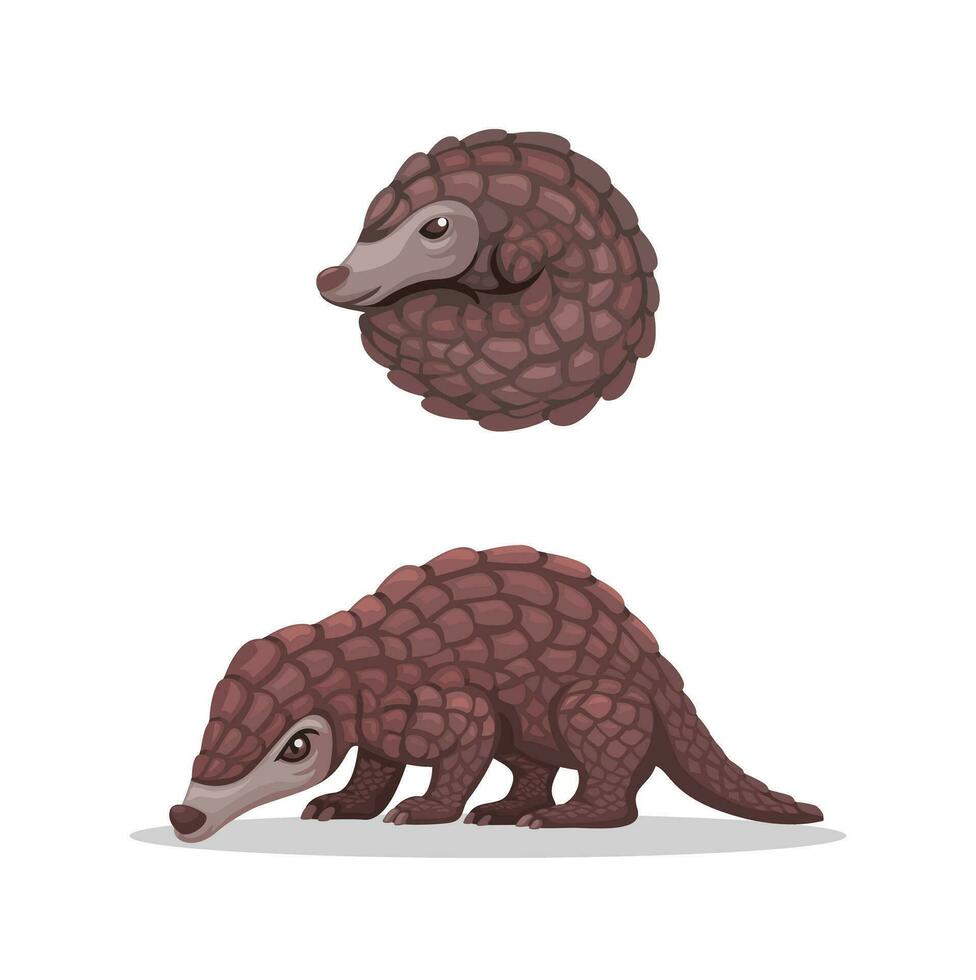 Pangolin Exotic Animal Collection Set Cartoon illustration Vector