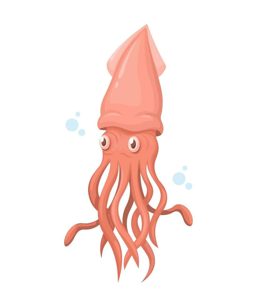 Squid Animal Species Cartoon illustration Vector