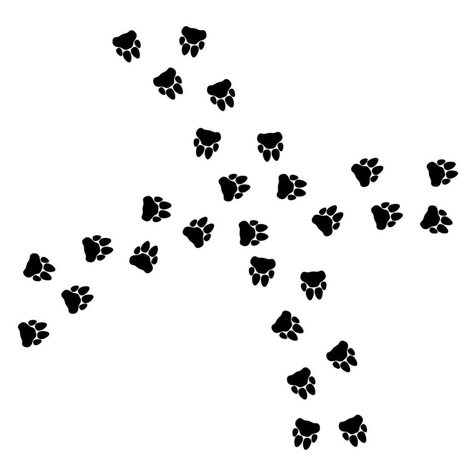 Paw vector foot trail print of cat. Dog, pattern animal tracks isolated on white background, backgrounds, vector icon Illustration