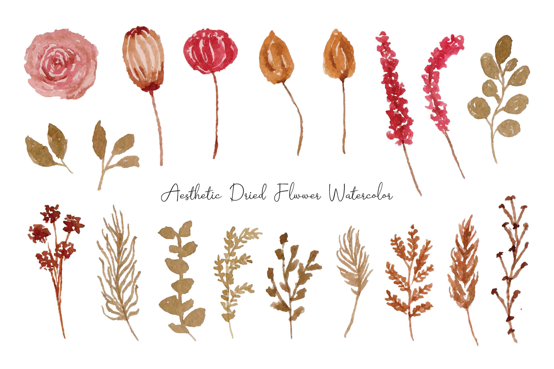 Watercolor Dried Wildflowers Collection