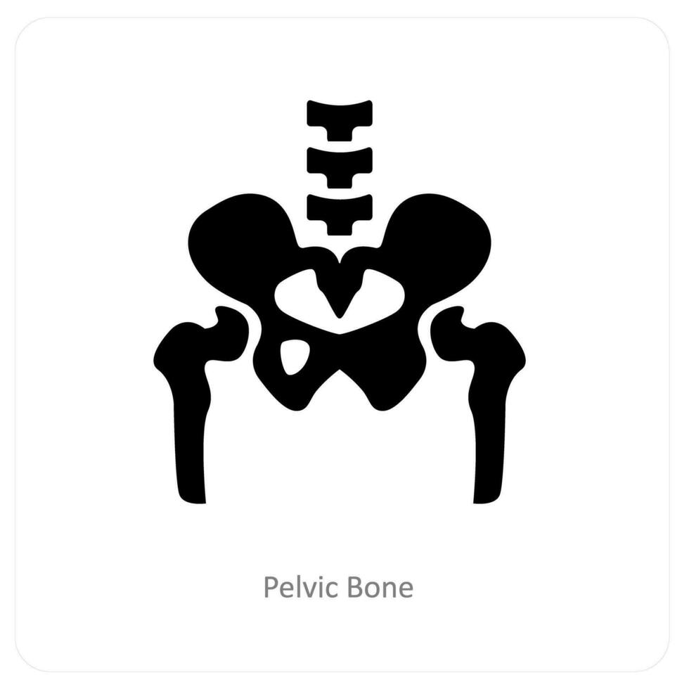 pelvic Bone and anatomy icon concept vector