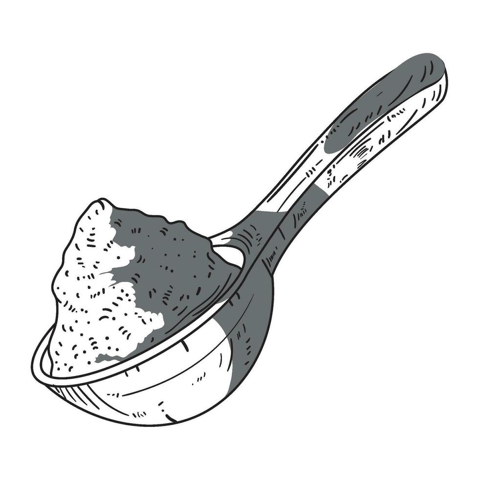 powder chili in spoon icon vector