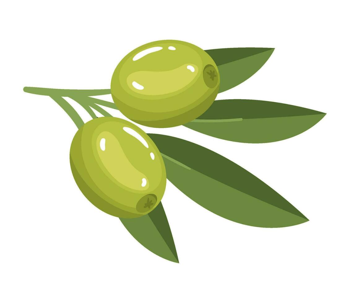 tree olive and foliage icon isolated vector
