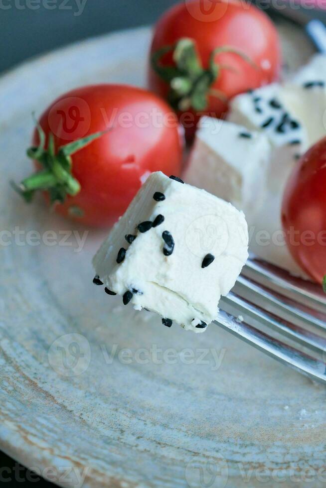 greek feta cubes with tomato diced soft cheese on plate photo