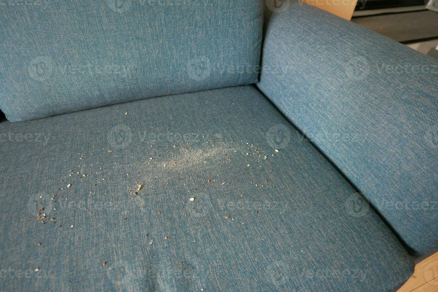 dirty stain or dust on gray color sofa photo