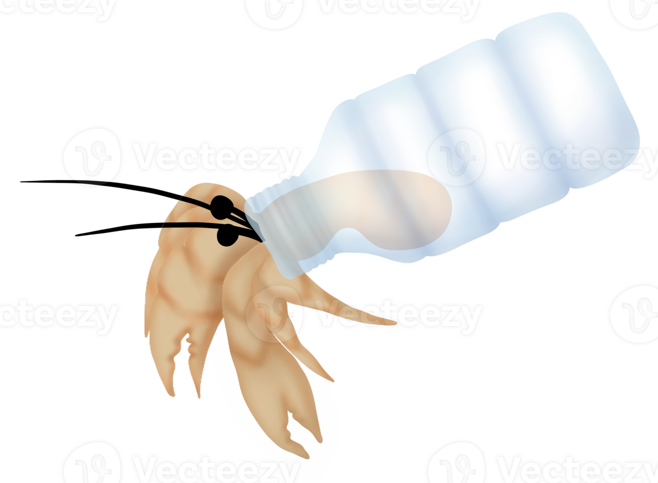 Hermit crabs, house made from a plastic bottle metaphor of pollution of the seas. png