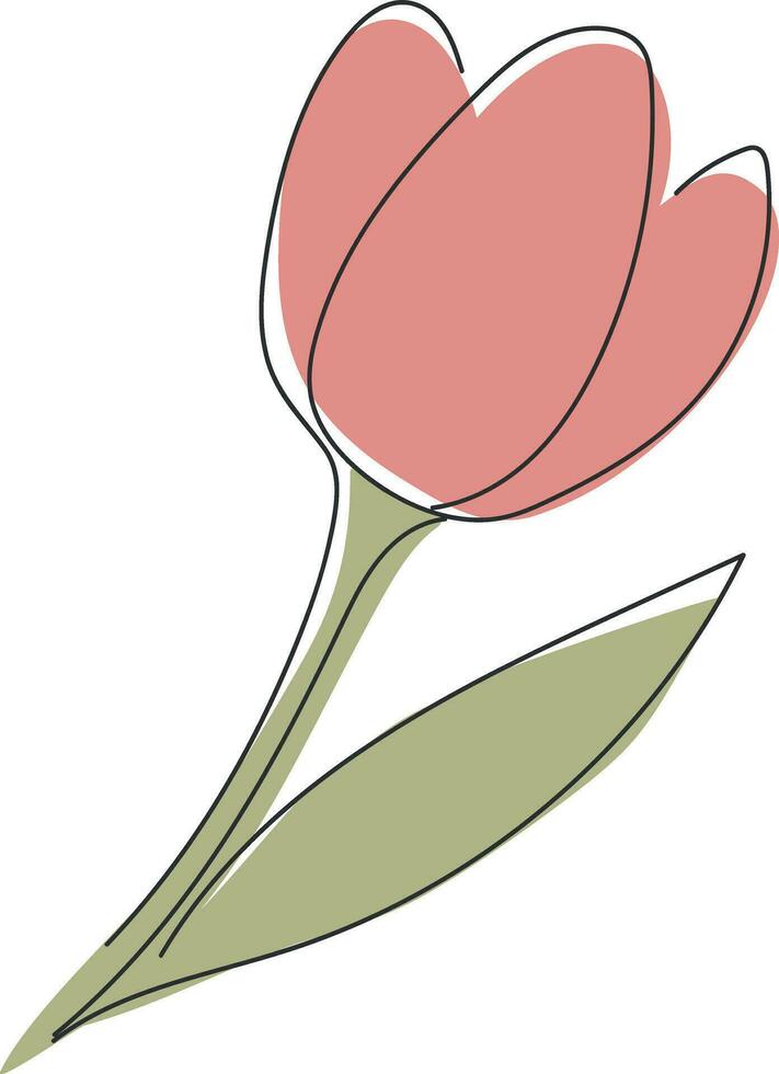 Hand drawn tulip isolated on white background. Vector illustration