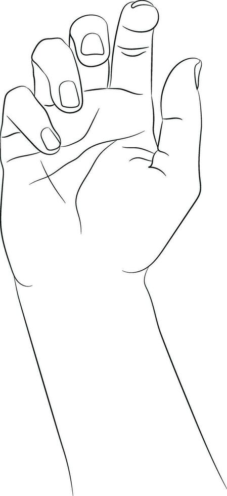 Hand drawn hand. Empty contour isolated on white background. Hand drawn female hand sketch. Black outline on white background. Vector illustration