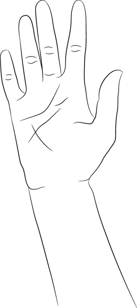 Hand drawn hand isolated on white background. Hand drawn female hand linear sketch. Black silhouette on white background. Vector illustration