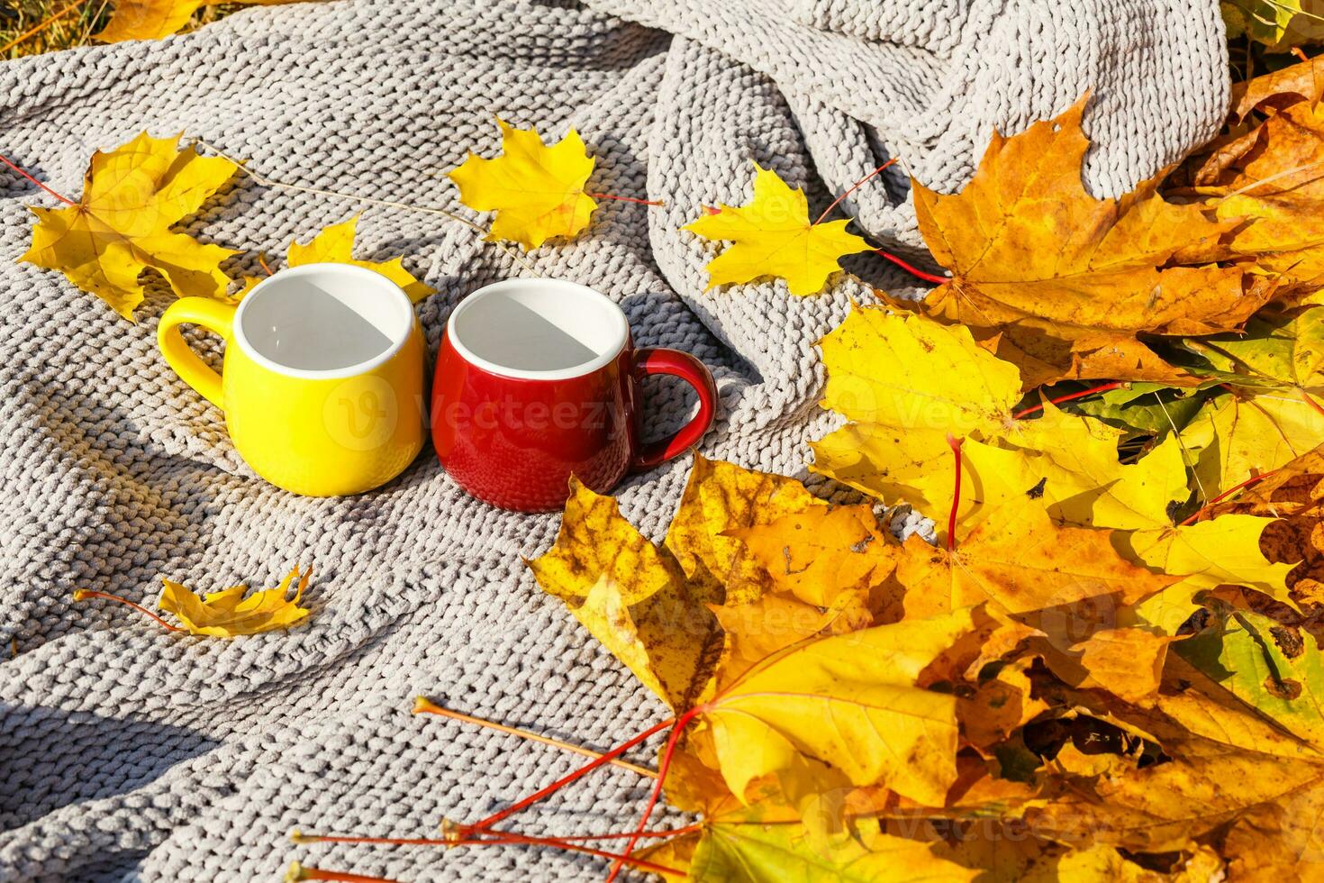 autumn background with yellow leaves and a cozy plaid photo