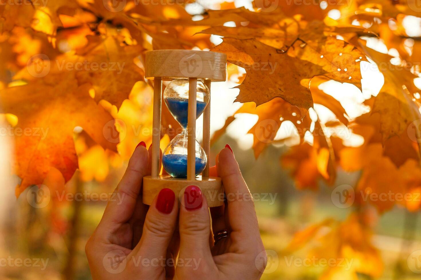 Autumn time theme, Sandglass on fallen leaves in various colors with copy space. photo