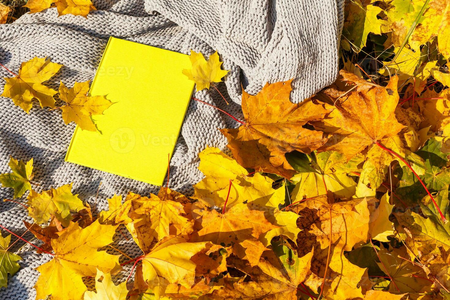 book in autumn leaves on autumn background. photo