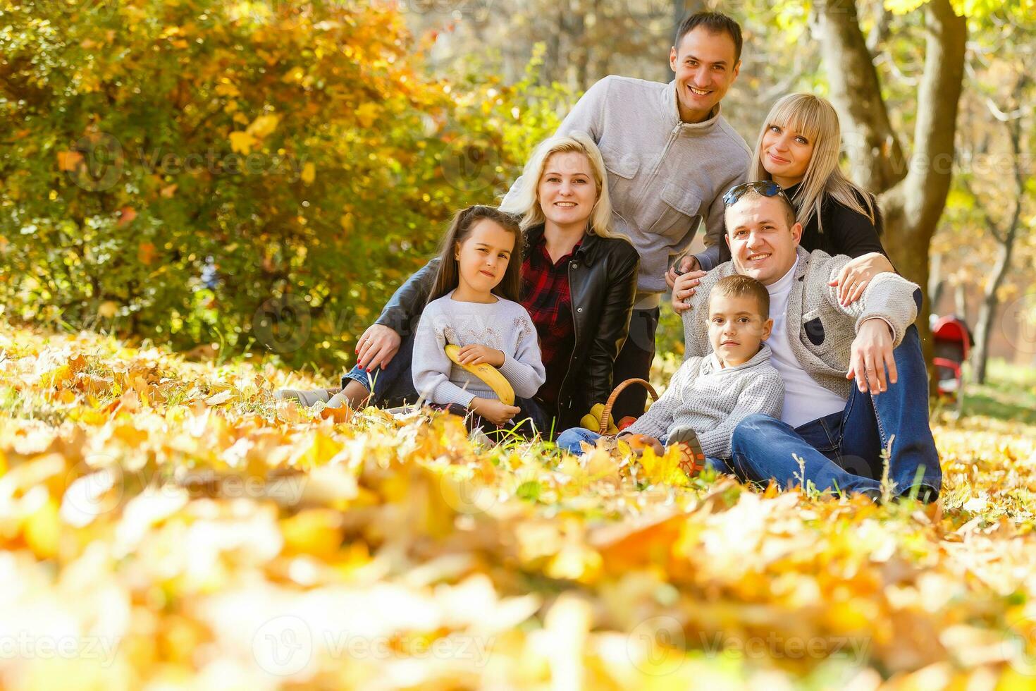 The family walks in the park in autumn photo