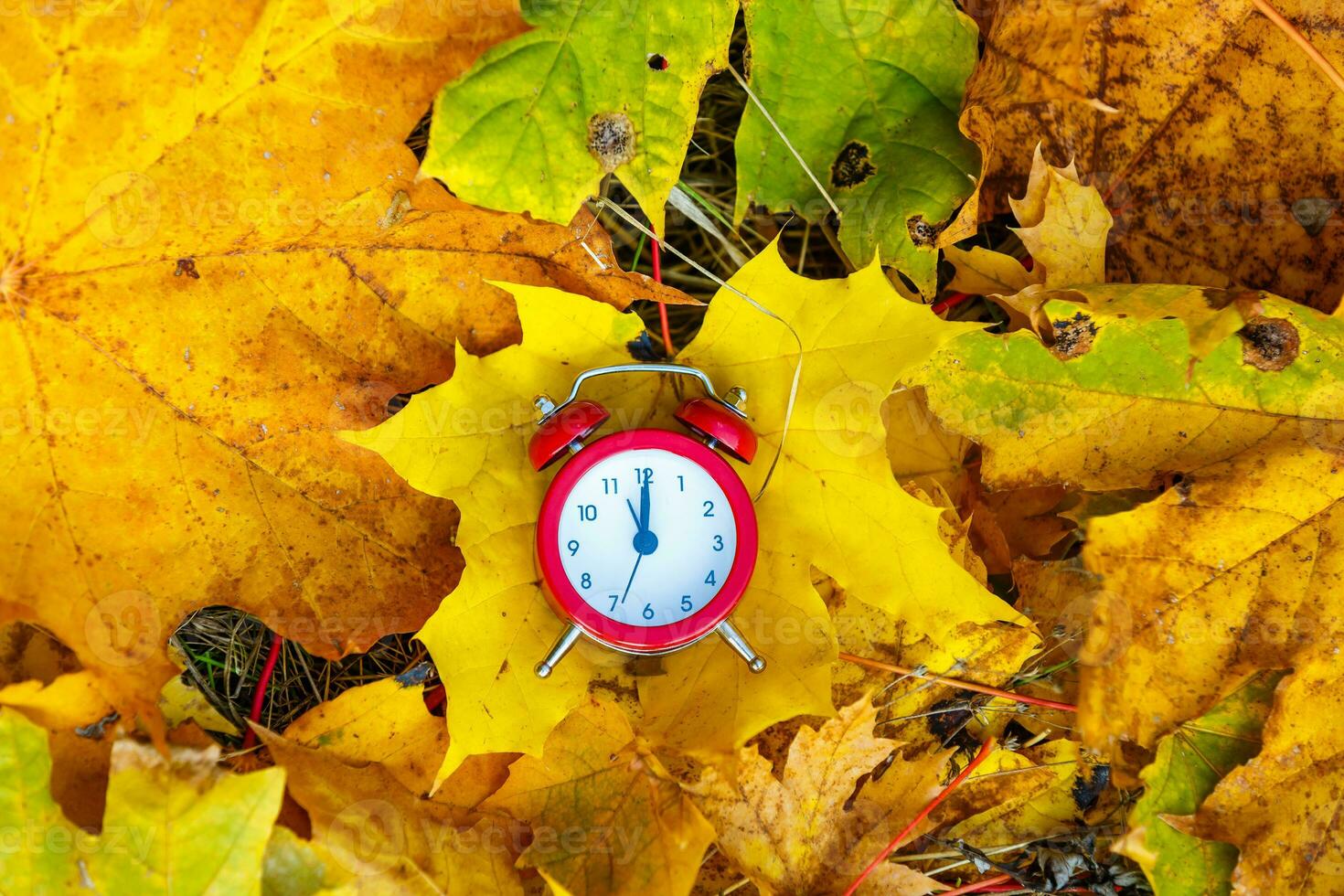 Old clock on autumn leaves on natural background photo