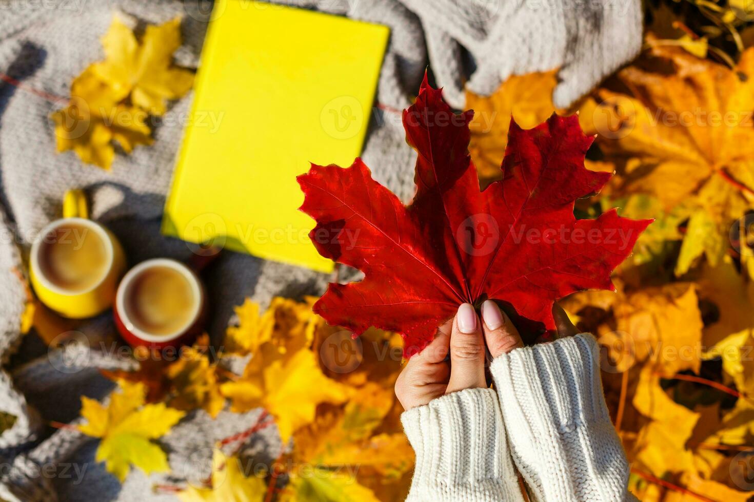Girl holding maple leaf in autumn park photo