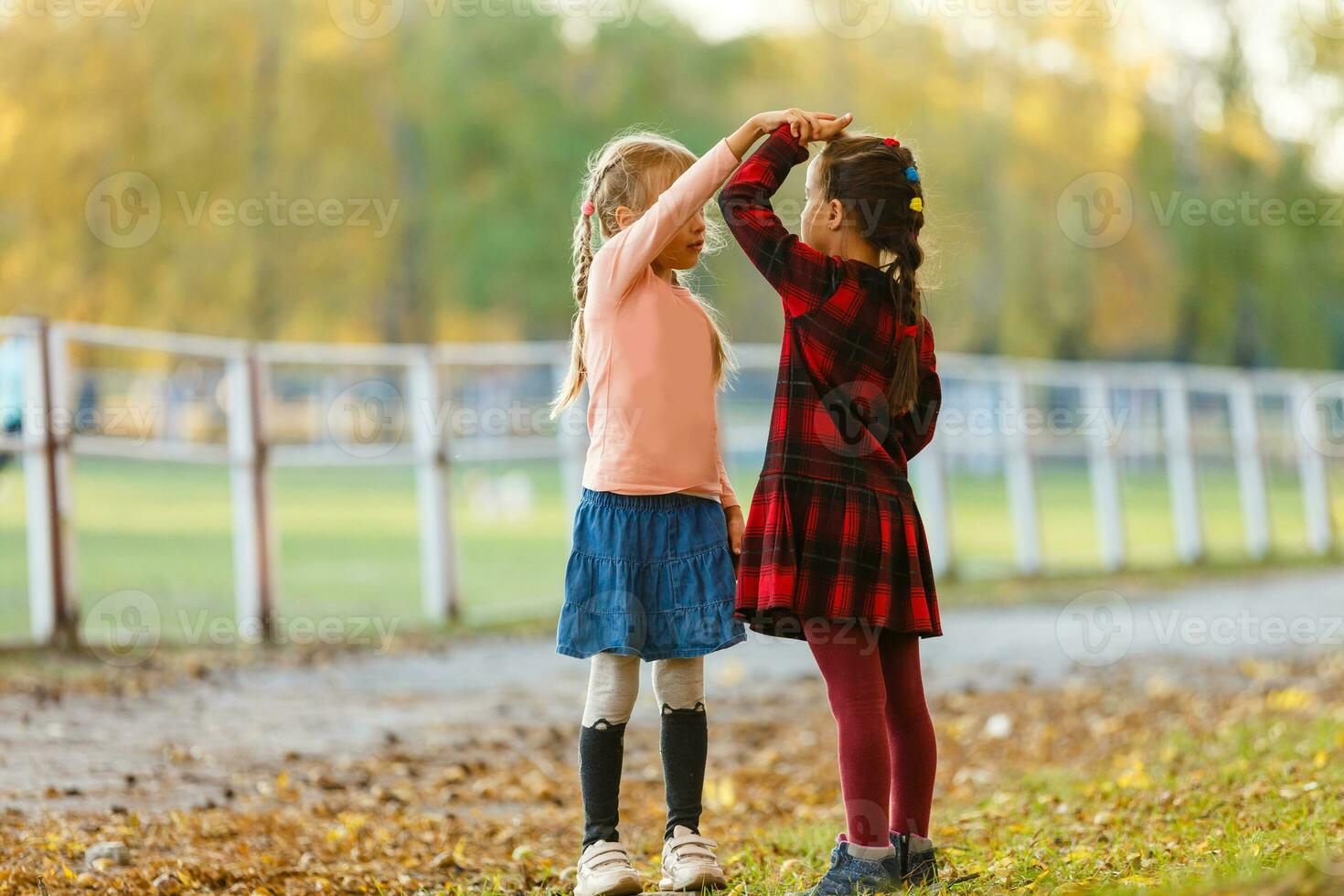 little girls measure height to each other in autumn park photo