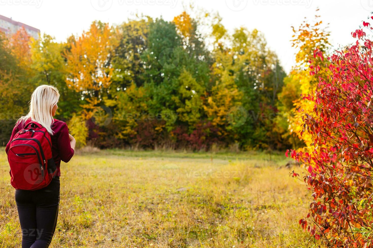 Tourist Woman Traveling In Nature, Young Caucasian Woman With Backpack. The Sun While Standing Against Backdrop Of Autumn Trees On Sunny Day photo