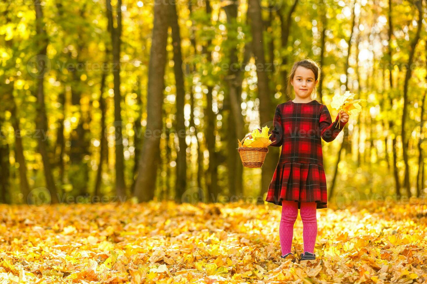 hermosa pequeño niña con otoño hojas al aire libre foto
