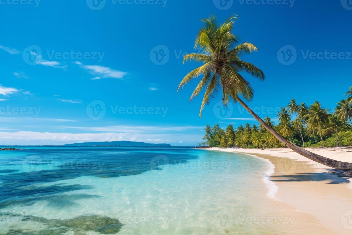 tropical paradise beach with white sand and coco palms travel tourism wide panorama background concept photo