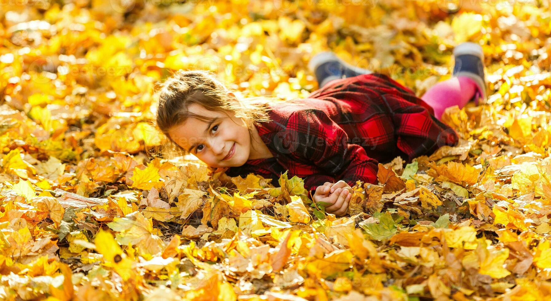 pequeño niña jugando con caído otoño hojas. foto