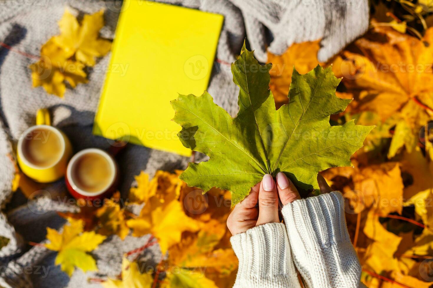 Girl holding maple leaf in autumn park photo