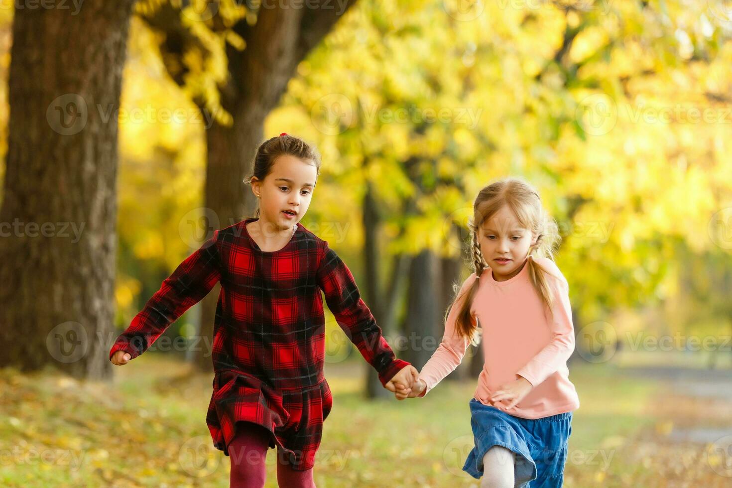 dos pequeño niña amigos Chica de escuela en el parque. foto