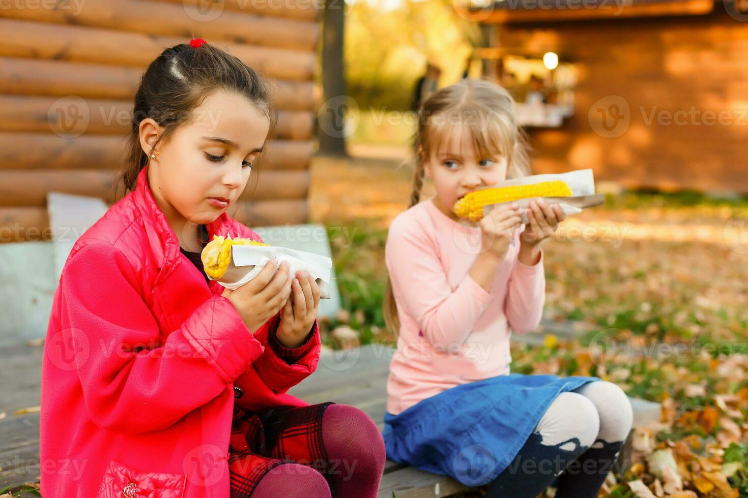 Two little girl harvesting and eating corn in corn field. Agriculture concept. photo