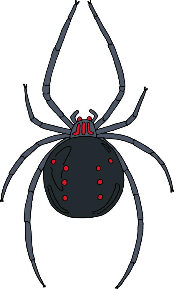 ilustración de un negro araña Karakurt para el tema de el Víspera de Todos los Santos fiesta vector