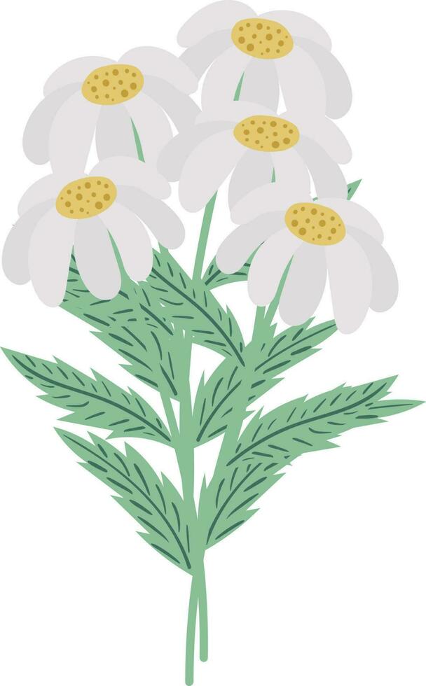 linda ramo de flores de camomiles en plano estilo. primavera ilustración vector